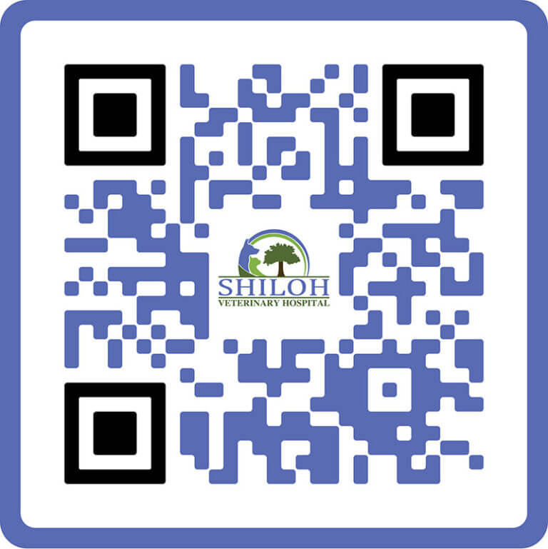 app-store-qr