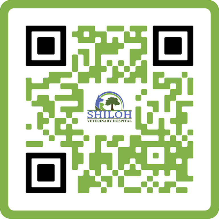 google-play-qr-code