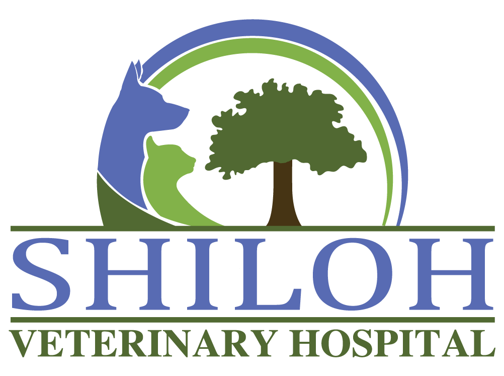 Shiloh Veterinary Hospital