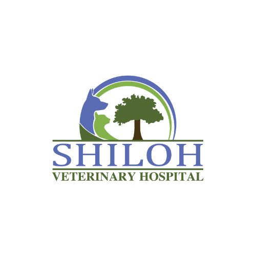 Shiloh Veterinary Hospital